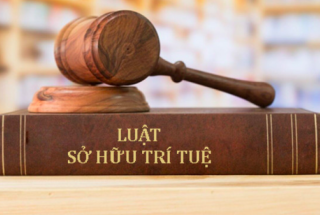 Bình luận về các điểm mới trong Luật sửa đổi, bổ sung một số điều của Luật Sở hữu trí tuệ năm 2022 liên quan đến bảo hộ quyền tác giả
